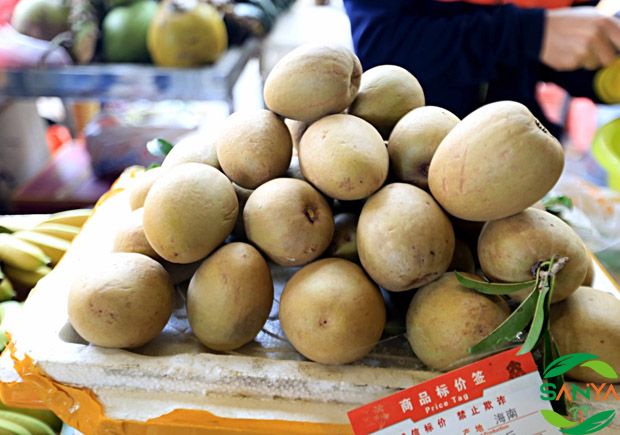 海南植保信息交流暨農(nóng)業(yè)設(shè)施展覽會(huì)